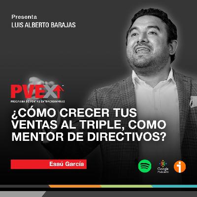 "Cómo crecer tus ventas al triple como mentor de directivos"