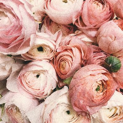Let Go of Self-Criticism: A Gentle Meditation for Self-Compassion