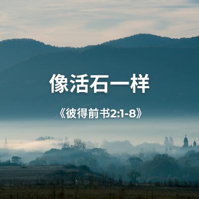 像活石一样《彼得前书2:1-8》 像活石一样《彼得前书2:1-8》
