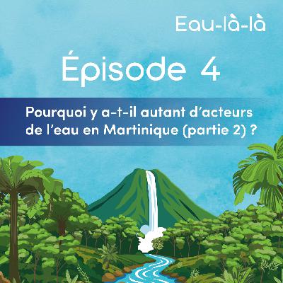 Épisode 4 - Pourquoi y a-t-il autant d’acteurs de l’eau en Martinique (partie 2) ?