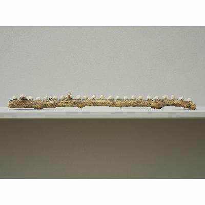Branches by Peter Child Branches by Peter Child