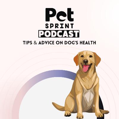 Before Getting a Puppy: 5 Things to Know