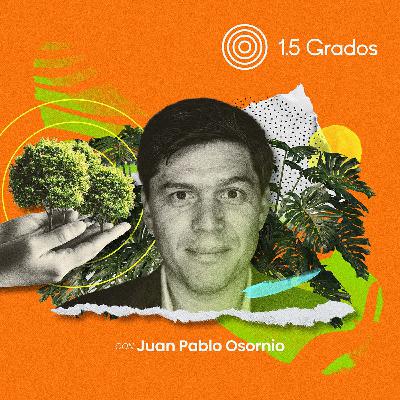 Un fondo para el futuro de los bosques