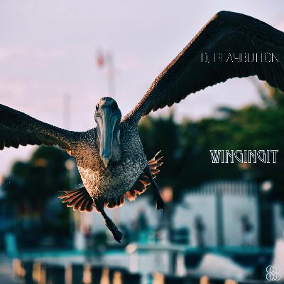 [PB808-50] WingingIt (17.05.19)