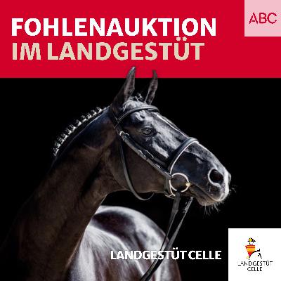 Fohlenauktionen im Landgestüt Fohlenauktionen im Landgestüt