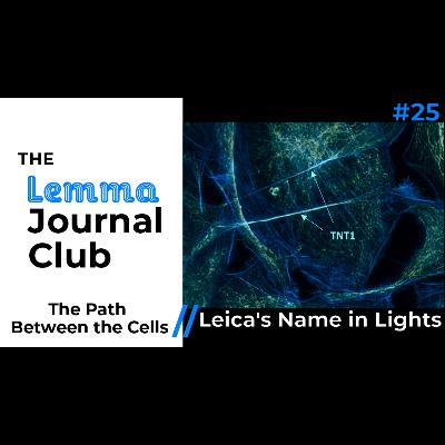 The Path Between the Cells // Leica's Name in Lights [25]