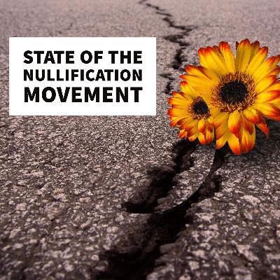 State of the Nullification Movement: Strategy, Theory and Action State of the Nullification Movement: Strategy, Theory and Action