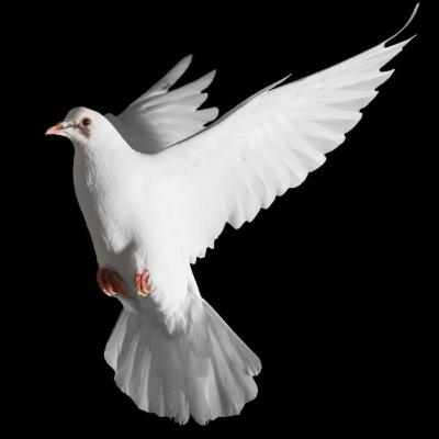 285. 2 Samuel 12 – Quel est le péché impardonnable contre le Saint-Esprit ?