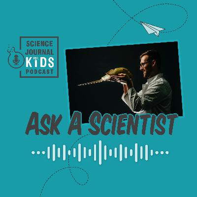 Ask-a-Scientist E1: Dr. Russell Bicknell, paleontologist