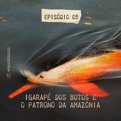 #5 - O igarapé dos Botos e o Patrono da Amazônia