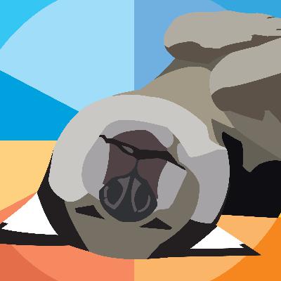 Creando un NFT y SwiftUI