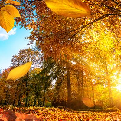 Autunno da cartolina: i laghetti del foliage