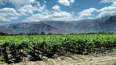 Ep.37: Il grande mandato Ep.37: Il grande mandato