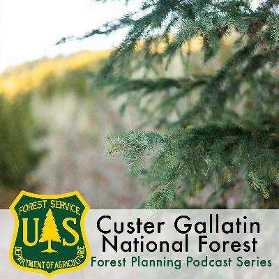 Ep1 Virginia Kelly, What is Forest Planning? Ep1 Virginia Kelly, What is Forest Planning?