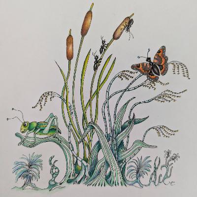 Grasslands of the Okanogan