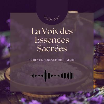 EP 26 Se défaire de nos conditionnements et croyances limitantes EP 26 Se défaire de nos conditionnements et croyances limitantes