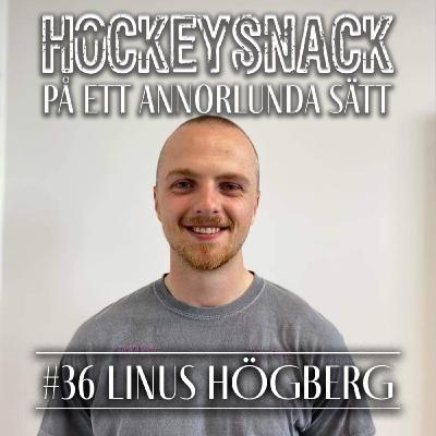 #36 Linus Högberg