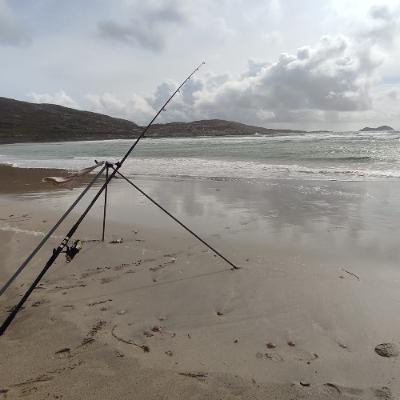 ILa mise à jour hebdo de la pêche à la ligne Irlandaise, 29 Août 2025