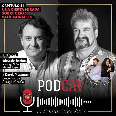 Una cierta mirada sobre Cepas Patrimoniales #14