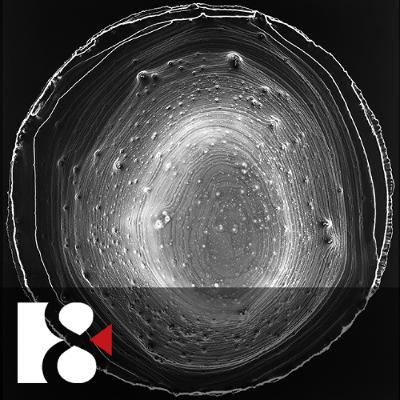 Křehkost a zranitelnost (20. října 205) Křehkost a zranitelnost (20. října 205)