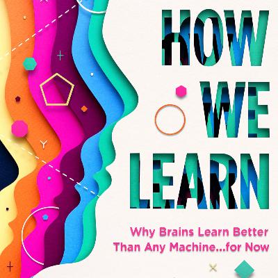 How We Learn - Book Review