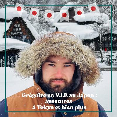 #6 Grégoire en V.I.E au Japon : aventures à Tokyo et bien plus