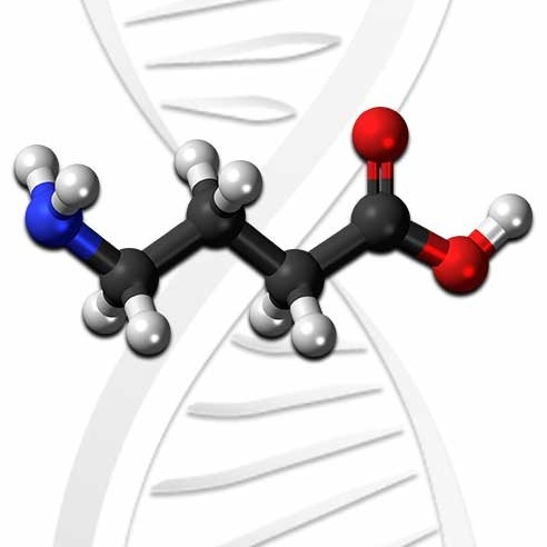 GABA as a Nootropic 👿 Biohacking the Metaphorical "Little Devil" on Your Shoulder