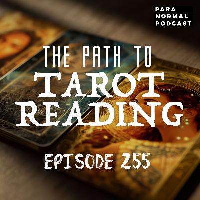 EP 255 - The Path to Tarot Reading