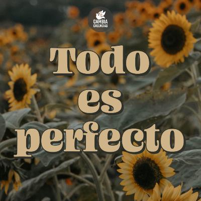 Todo es perfecto 🥰