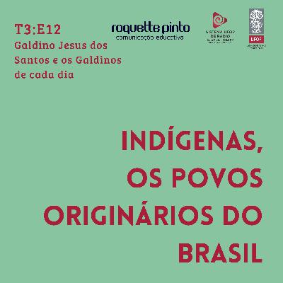 Indígenas. T3. Ep#12. Galdino Jesus dos Santos e os Galdinos de cada dia Indígenas. T3. Ep#12. Galdino Jesus dos Santos e os Galdinos de cada dia