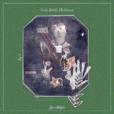 Fig 3: Ciclo Emily Dickinson