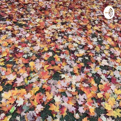 کوچه برج ایفل - قسمت اول