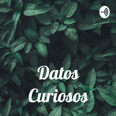 Biología, Historia, Literatura Y Cine