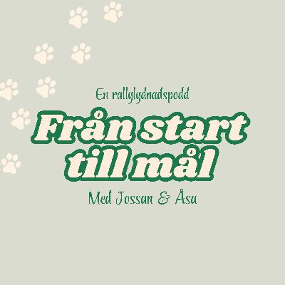 Avsnitt 14. Vi är tillbaka!