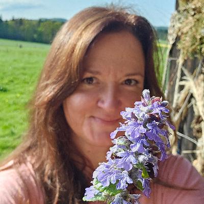 *72 Kriechender Günsel - fast vergessene Heilpflanze