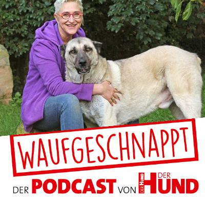 Herdenschutzhunde - Mirjam Cordt Herdenschutzhunde - Mirjam Cordt