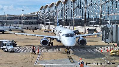 DLD 478: Deep fried and delicious DLD 478: Deep fried and delicious