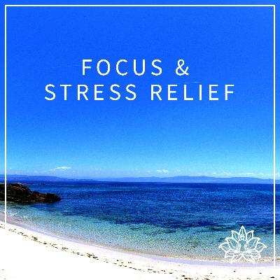Focus & Stress Relief - 15 Minute Guided Meditation 😎 Focus & Stress Relief - 15 Minute Guided Meditation 😎