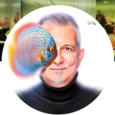 #3. Invitado Manolo Sanchis. Experiencias con peces disco y Ángeles Altum.