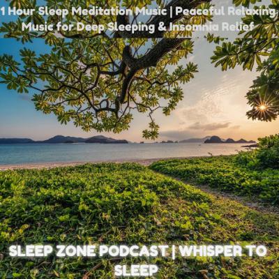 1 Hour Sleep Meditation Music | Peaceful Relaxing Music for Deep Sleeping & Insomnia Relief