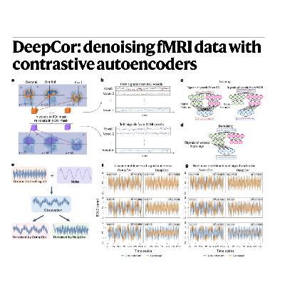 314-DeepCor: Contrastive Autoencoders for fMRI Denoising 314-DeepCor: Contrastive Autoencoders for fMRI Denoising