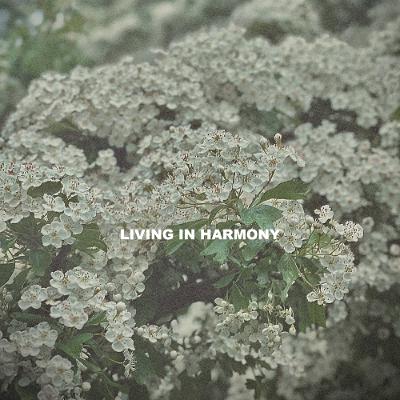 SVÖGAN - LIVING IN HARMONY 184 SVÖGAN - LIVING IN HARMONY 184