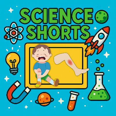 Why do bruises change colour? Science Short Why do bruises change colour? Science Short