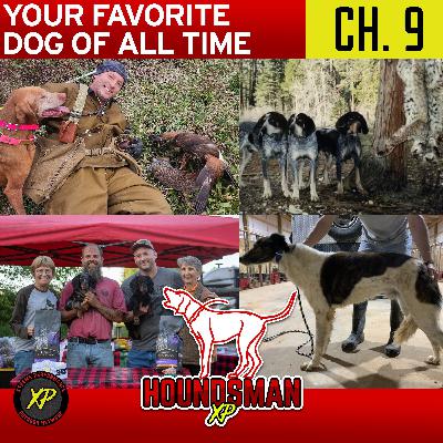 Your Favorite Dog Of All Time Chapter 9
