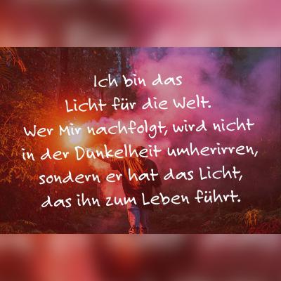 LICHT DER WELT