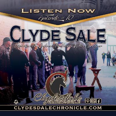 National Clydesdale Sale Update