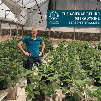 The Science Behind Mitragynine