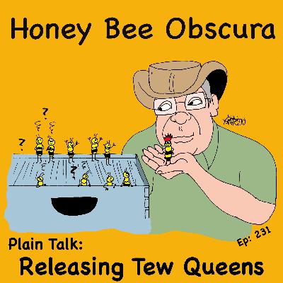 Plain Talk: Releasing Tew Queens (231)