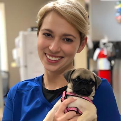 🇺🇸 Le meurtre aux pétales de rose 🇺🇸 Le meurtre aux pétales de rose