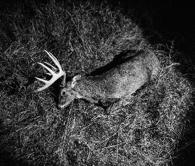 EP.452: Finding Gratitude In The Grind | Chasing Mature Bucks | Jacob Sklenar